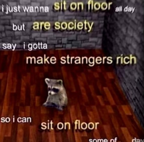 A raccoon on a wood floor with text about sitting on the floor and making strangers rich.