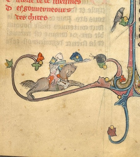 An illuminated manuscript margin shows a knight charging a large snail among decorative vines and a bird.